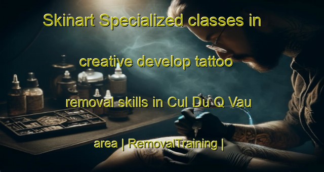 Skinart Specialized classes in creative develop tattoo removal skills in Cul Du Q Vau area | RemovalTraining | RemovalClasses | SkinartTraining-Belgium
